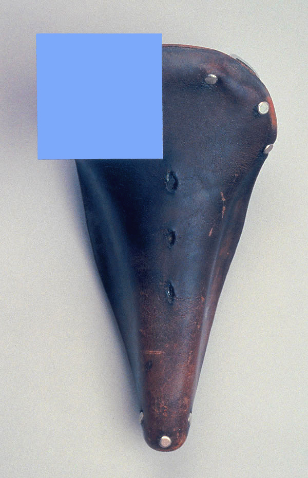 hlplankton600.jpg